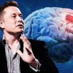 elon musk brain company