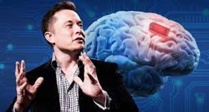 elon musk brain company