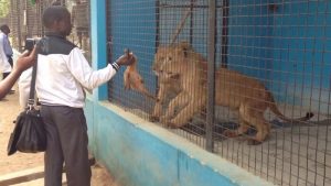 zoo