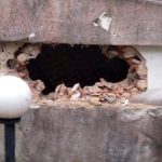 violent attack on corporate