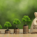 Nigeria's domestic green bonds