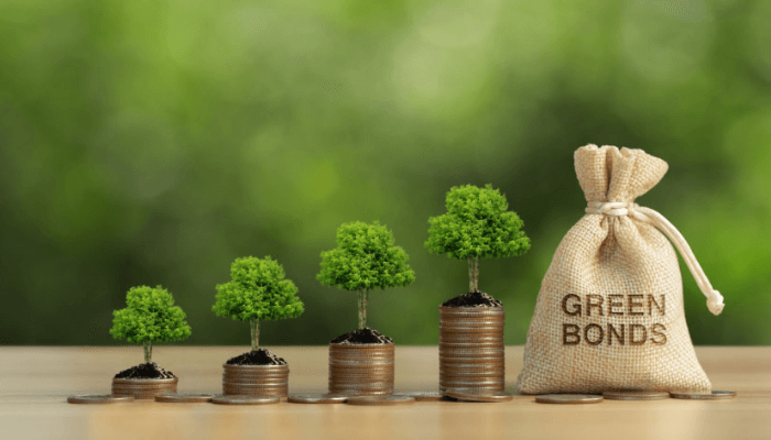 Nigeria's domestic green bonds