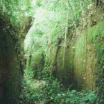 Edo heritage preservation