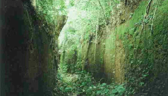 Edo heritage preservation