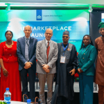 Nigeria's energy transition