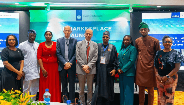 Nigeria's energy transition