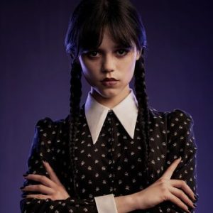 Wednesday Addams's Goth Attire: The Addams Family
