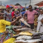 fish sellers