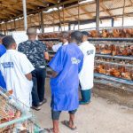 Zichis Agro Allied Industries Plc