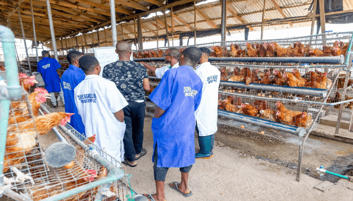 Zichis Agro Allied Industries Plc