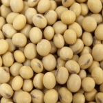 soya beans