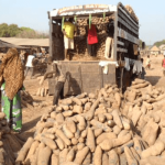 Yam Export