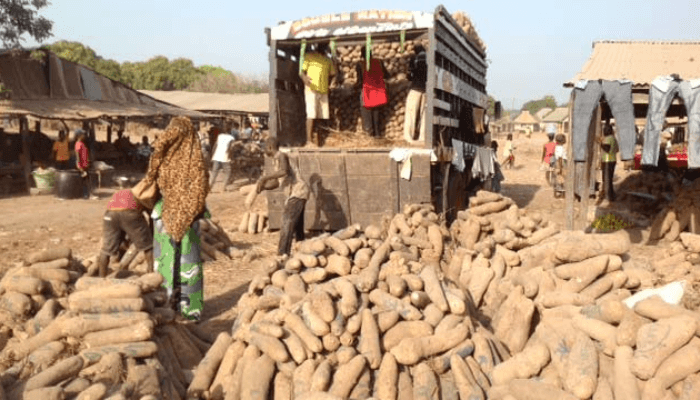 Yam Export