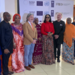 Joint European Union-United Nations