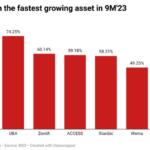Nigerian banking sector