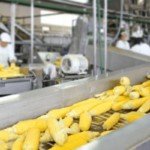 Food machine production