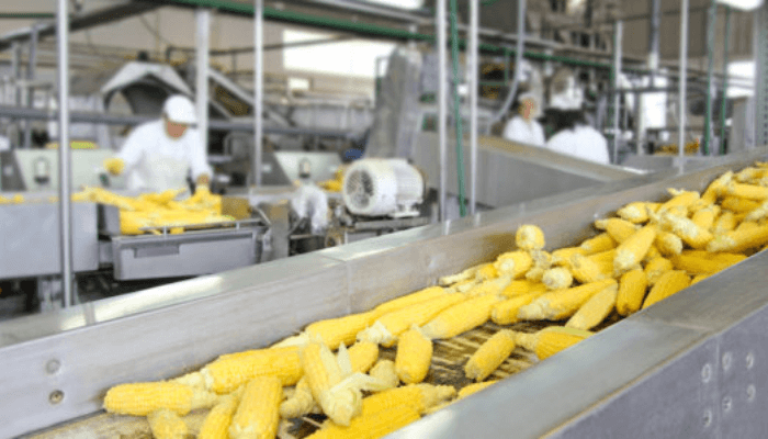 Food machine production
