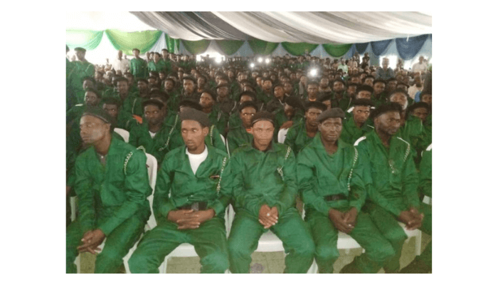 Nomad Volunteer Vigilante Group (1)