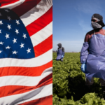 US Agricultural Work Visa
