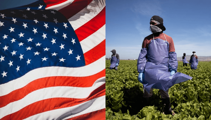 US Agricultural Work Visa