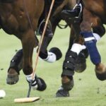 Lagos Polo: Silver Cup sponsorship excites Coronation Group