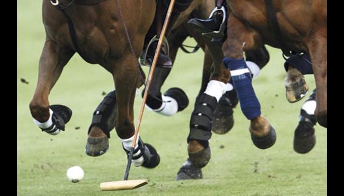 Lagos Polo: Silver Cup sponsorship excites Coronation Group