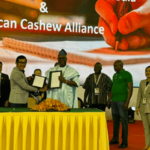 African Cashew Alliance