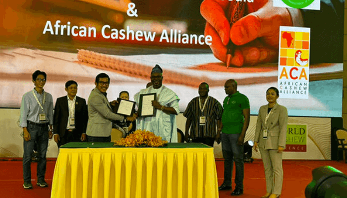 African Cashew Alliance
