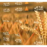 Grain price