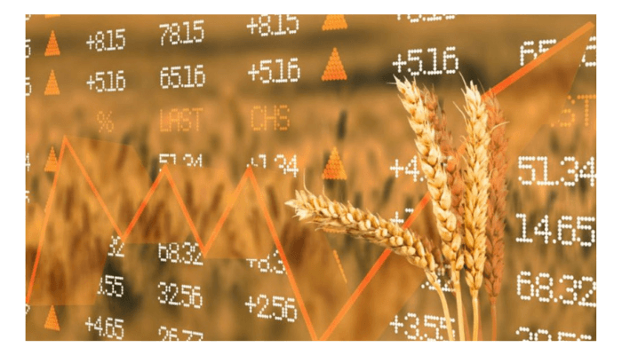 Grain price