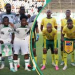 AFCON: Nigeria vs South Africa: Can Bafana Bafana get revenge against Super Eagles?