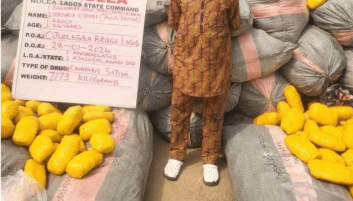 Indian hemp in Lagos