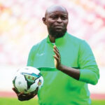 Don't judge Finidi with Mali result — Adepoju