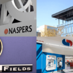 Largest companies in South Africa