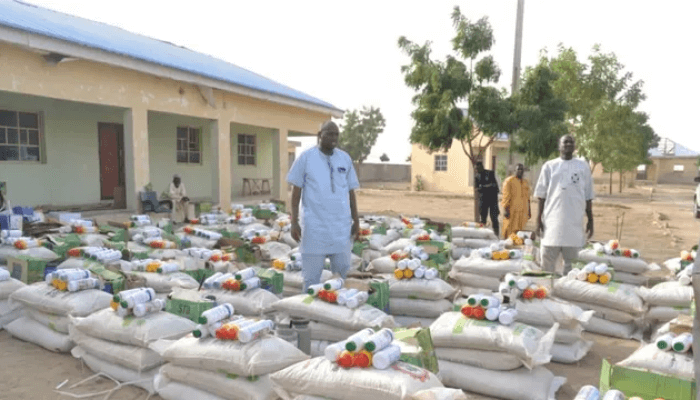 food security in Borno