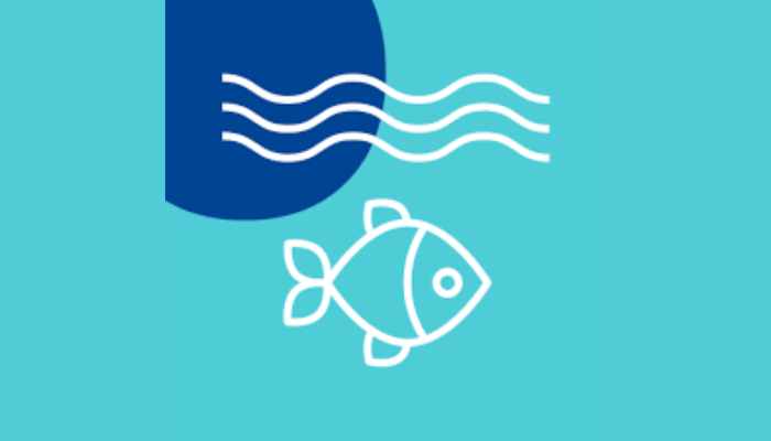 Nigerian blue economy