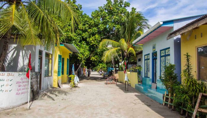 Explore Local Islands