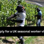 Here’s how to apply in 2024 for a UK seasonal worker visa