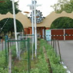 Modibbo Adama University