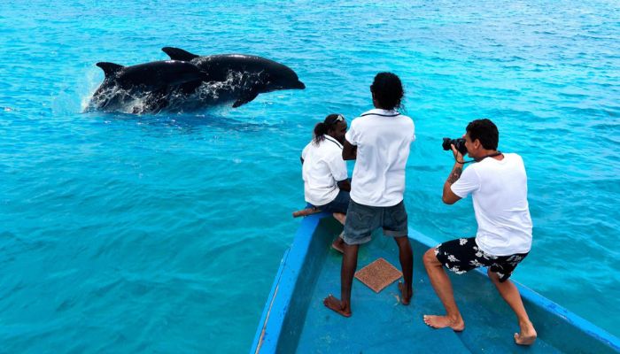 Take Advantage of Low-Cost Excursions