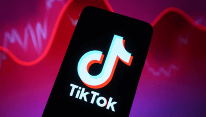 TikTok for artists