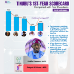 Tinubu’s first year performance