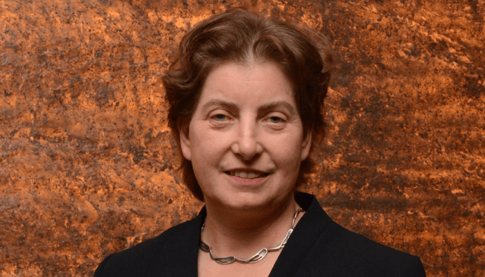 Commonwealth Enterprise and Investment Council