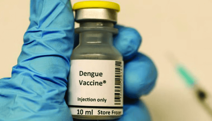 dengue vaccine