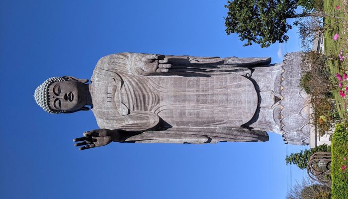 Ushiku Daibutsu – Ushiku, Japan (100m)