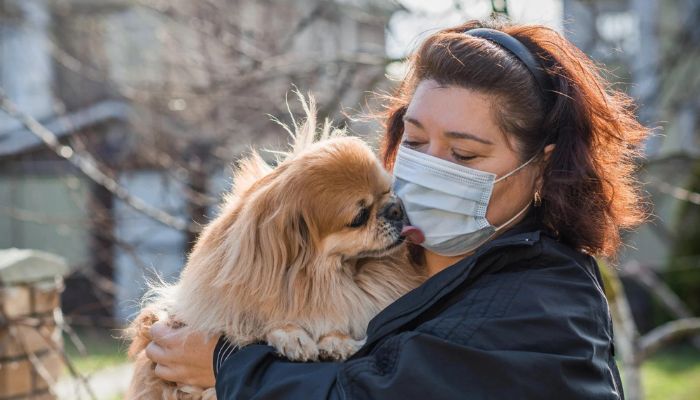 Elderly China woman leaves $2.8m to her pets after neglect