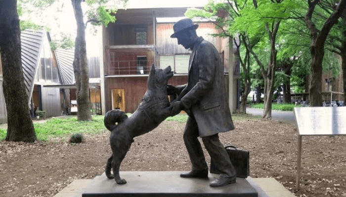 Hachiko