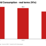 Household Consumption
