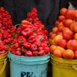 June TalkExchange poll: How can Nigeria improve tomato availability annually?