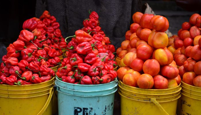 June TalkExchange poll: How can Nigeria improve tomato availability annually?